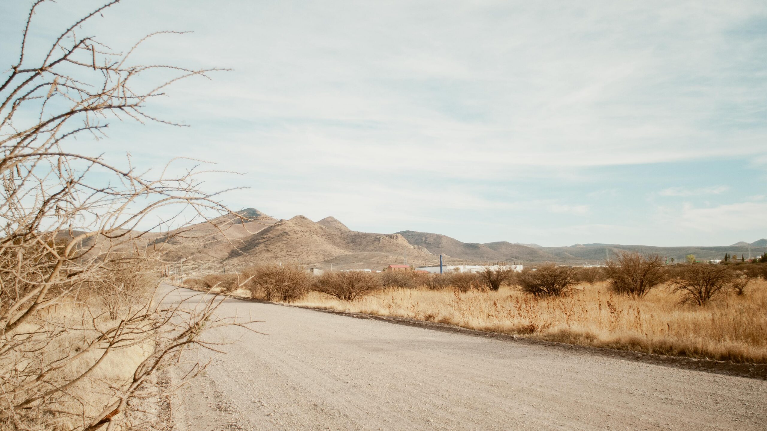 El Paso Title Loans
